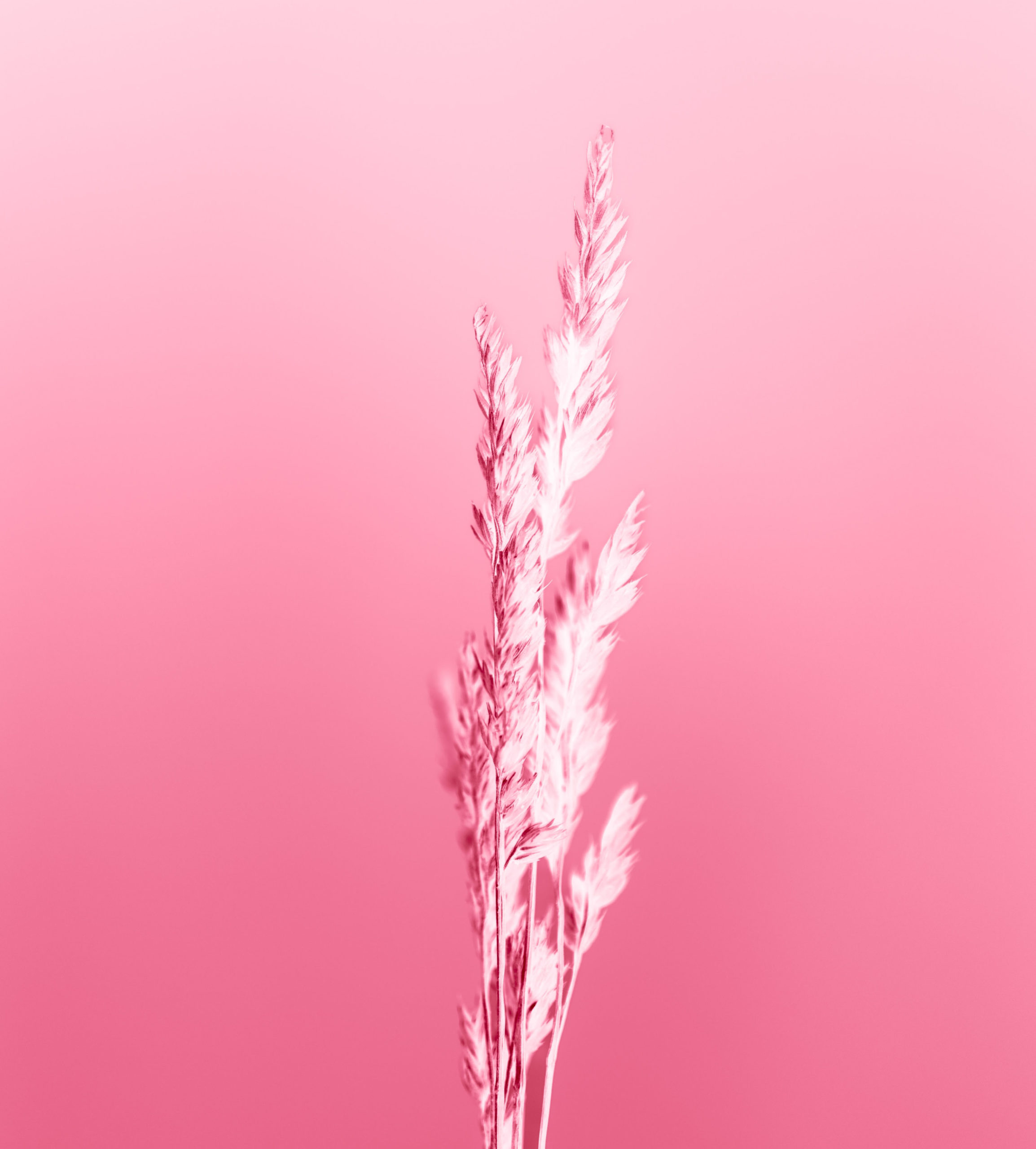 marek-piwnicki-1X4438TiN_U-unsplash-k