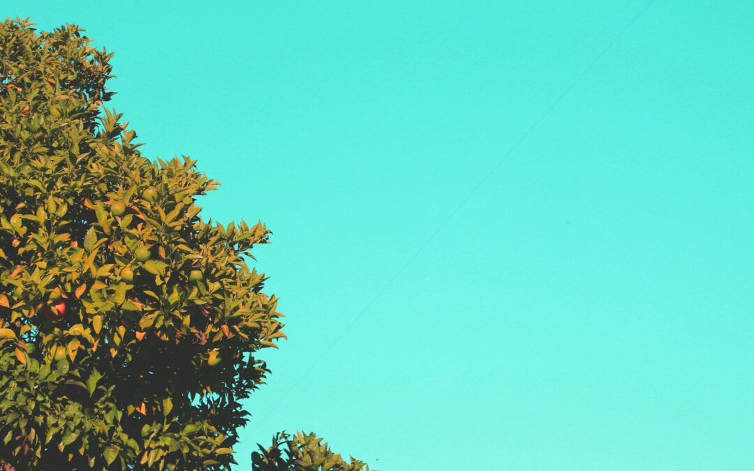 a kite is flying high in the sky